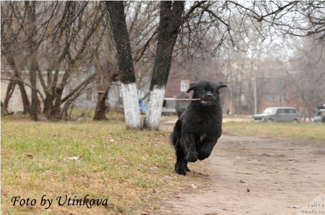 Фотография № 53845