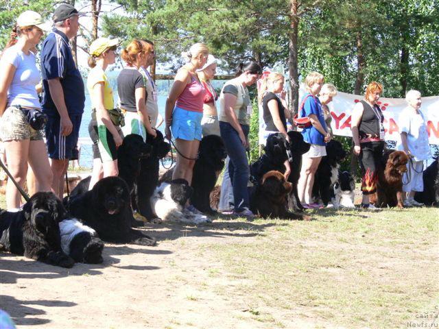 Фото: ньюфаундленд O Black Diamond Little Bear (О Блек Диамонд Литтл Беар), Andrey Ivashov (Андрей Ивашов)