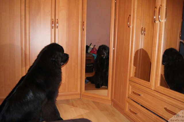 Фотография № 53867