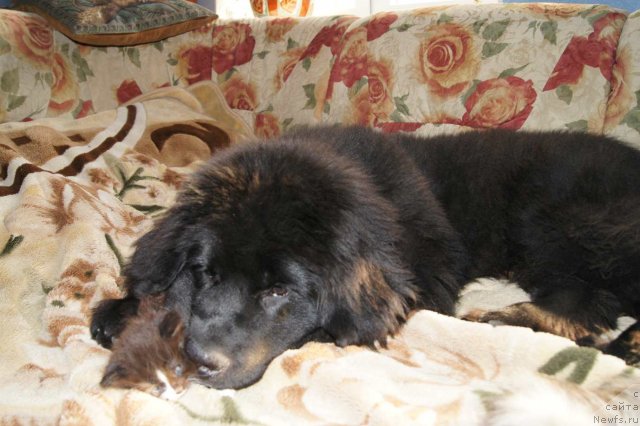 Фотография № 53869