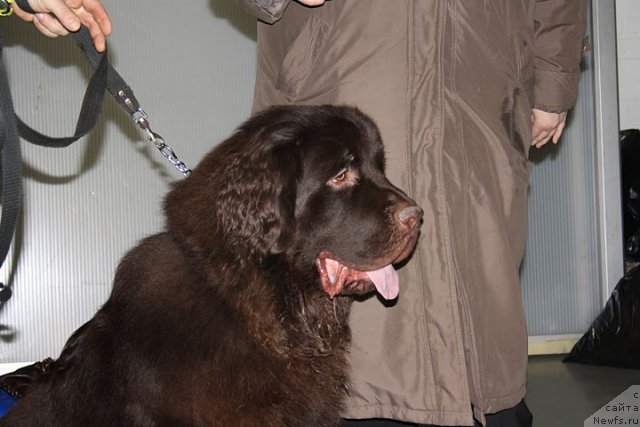 Фотография № 53949