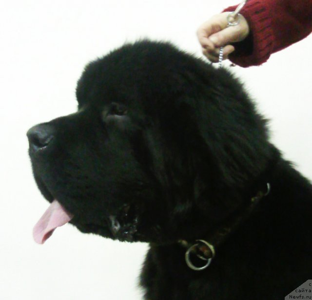 Фотография № 53967