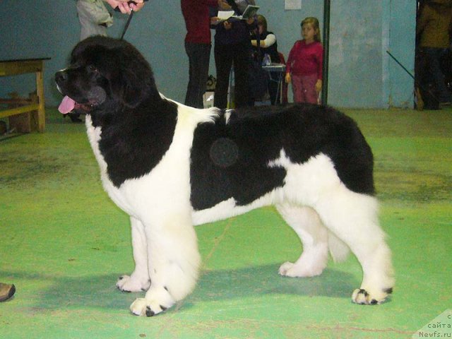 Фотография № 53970