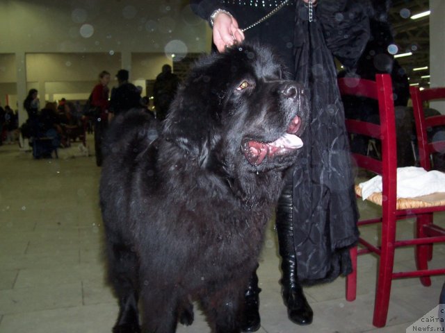 Фотография № 53972