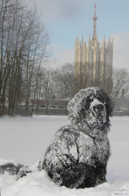 Фотография № 53994