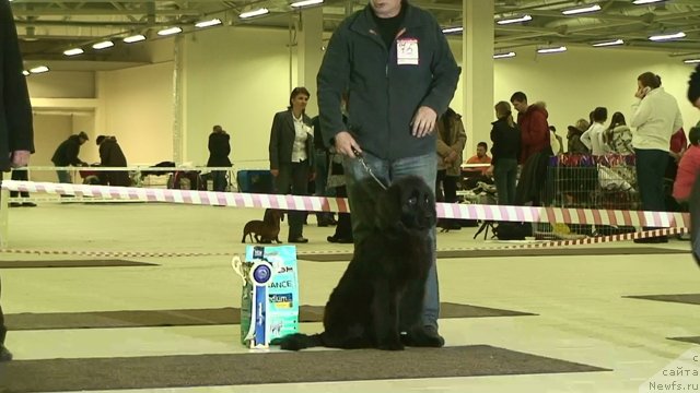 Фотография № 54017