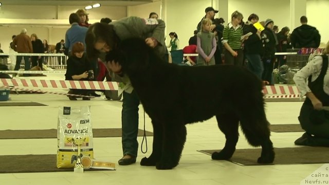 Фотография № 54025