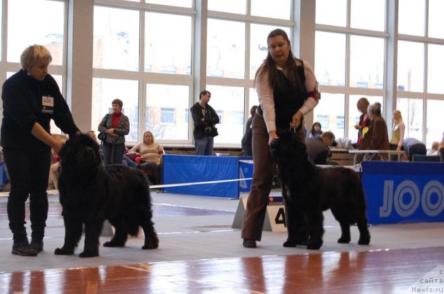 Фотография № 54028