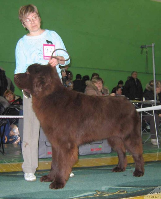 Фотография № 54029