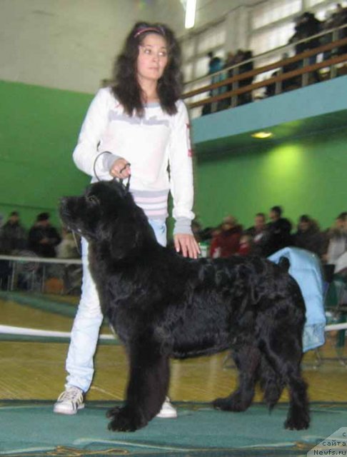 Фотография № 54035