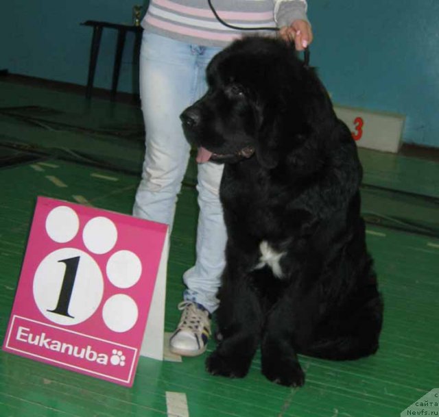 Фотография № 54037