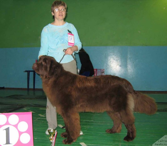 Фотография № 54048