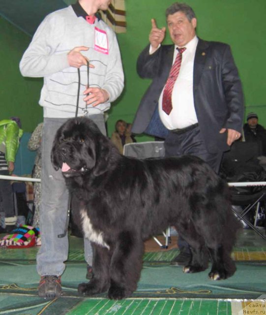 Фотография № 54053