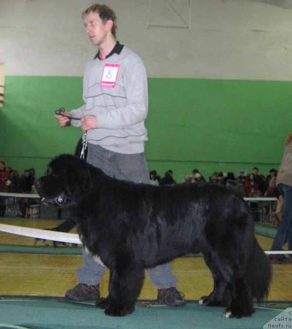 Фотография № 54054