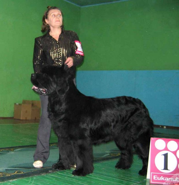 Фотография № 54056