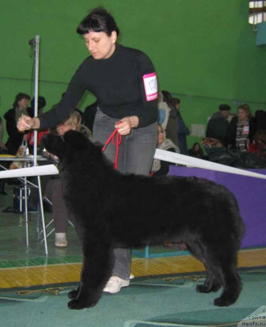 Фотография № 54058