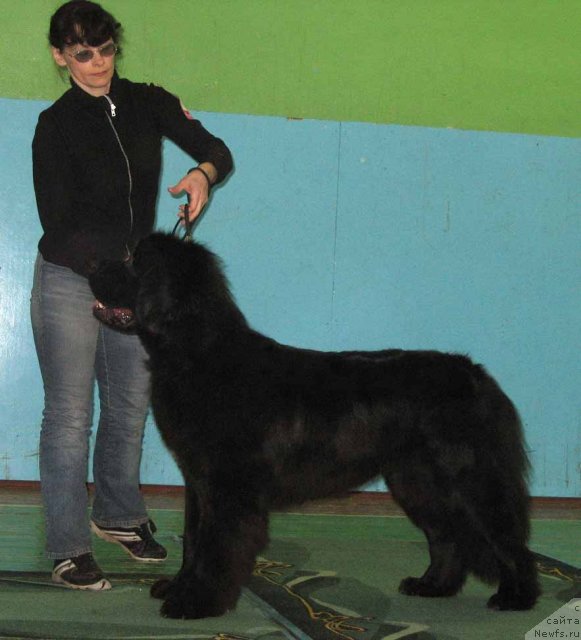 Фотография № 54059