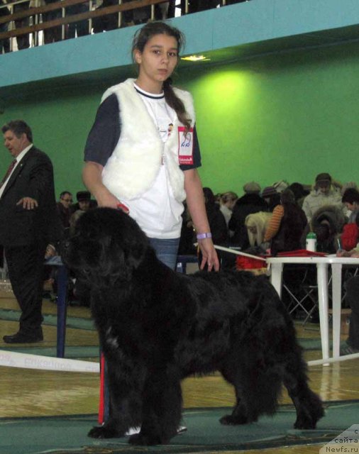 Фотография № 54060