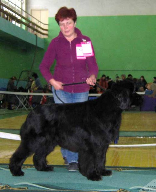 Фотография № 54061