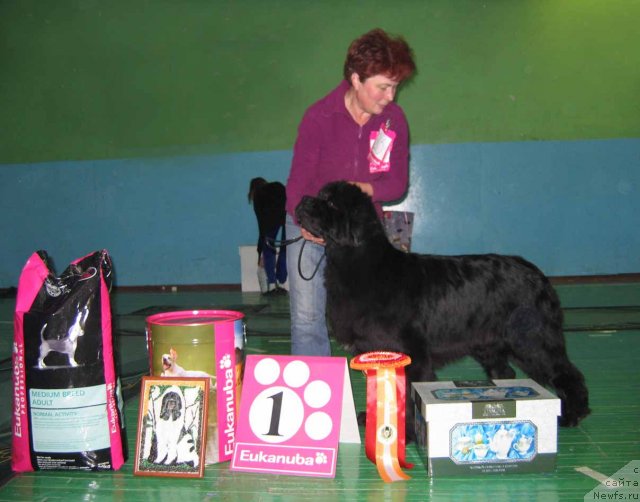 Фотография № 54062