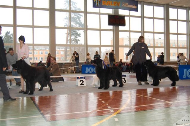 Фотография № 54091