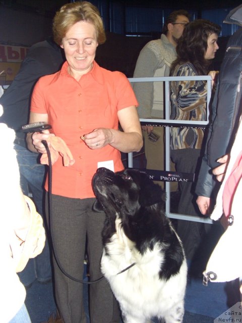 Фотография № 54100