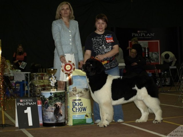 Фотография № 54159