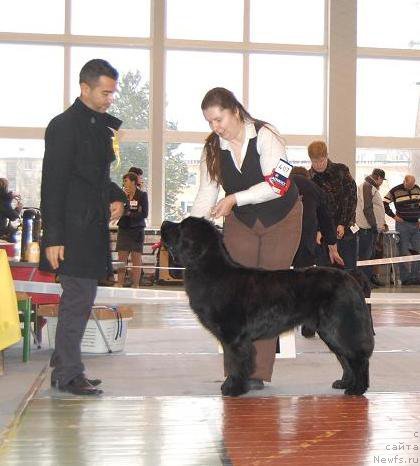 Фотография № 54210