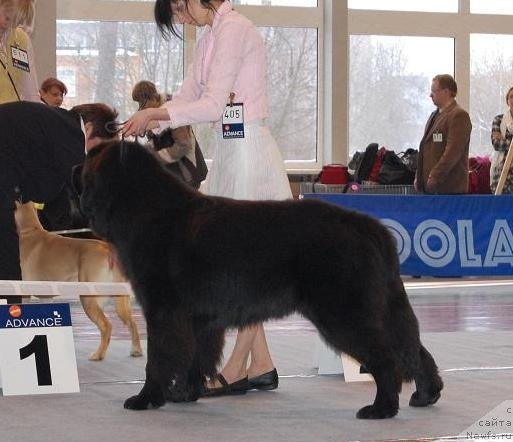 Фотография № 54211