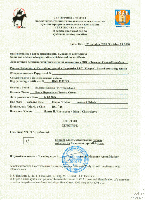 Фото: ньюфаундленд Ivan Tsarevich iz Tihogo Omuta (Иван Царевич из Тихого Омута)