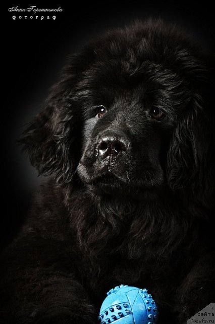 Фотография № 54256