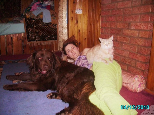 Фото: Irina Nistratova (Ирина Нистратова)