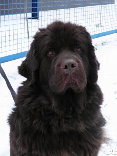 Фотография № 54282