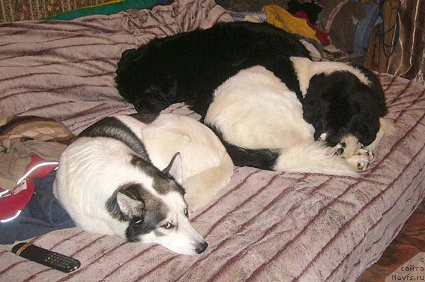 Фотография № 54331