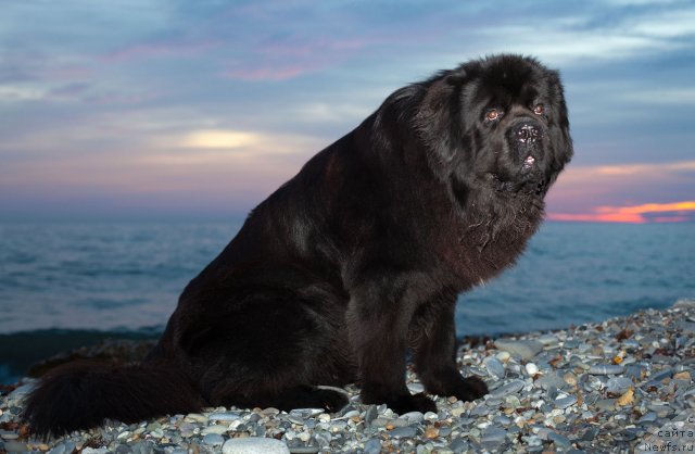 Фотография № 54336