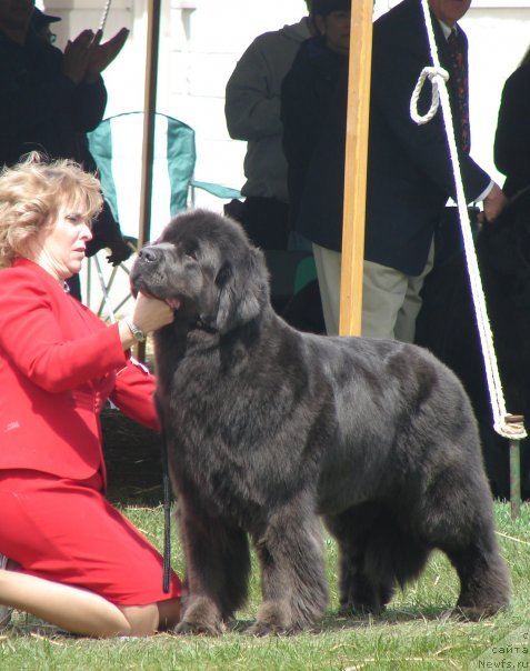 Фотография № 54347