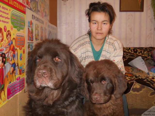 Фотография № 54385