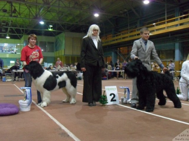 Фотография № 54404