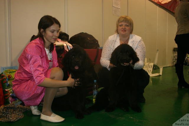 Фотография № 54432