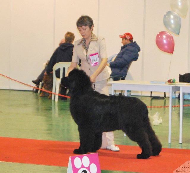 Фотография № 54467