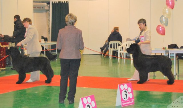 Фотография № 54468