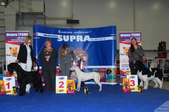 Фотография № 54486