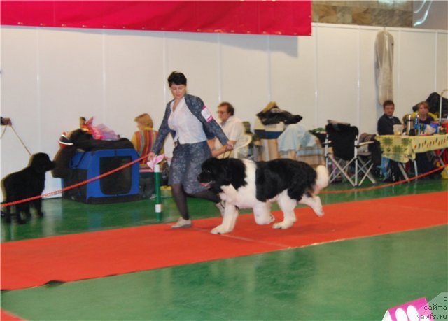 Фотография № 54488