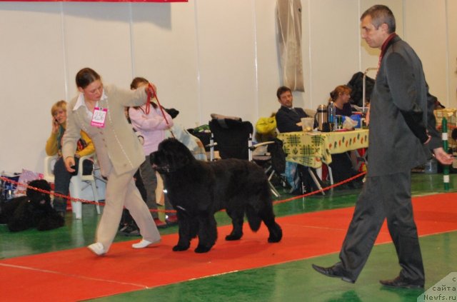 Фотография № 54493