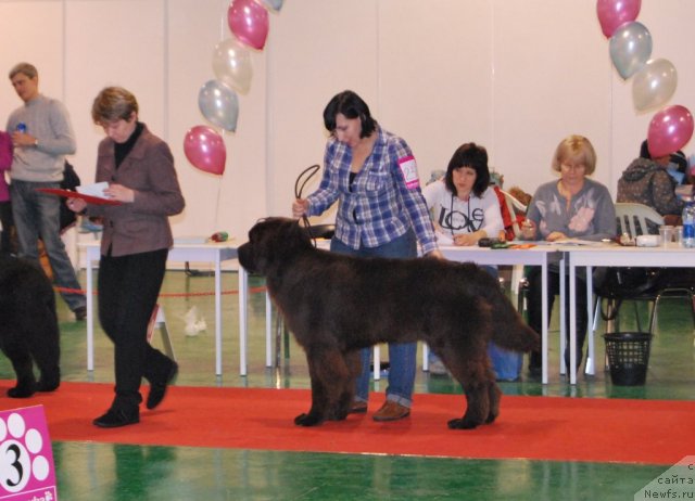 Фотография № 54496