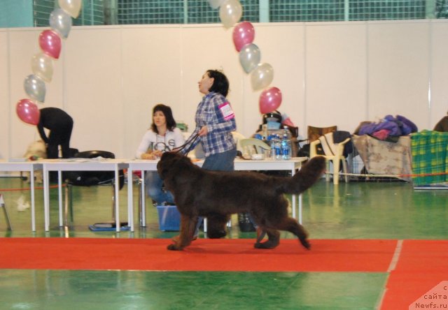 Фотография № 54498