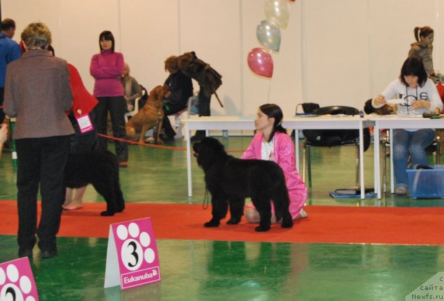 Фотография № 54505