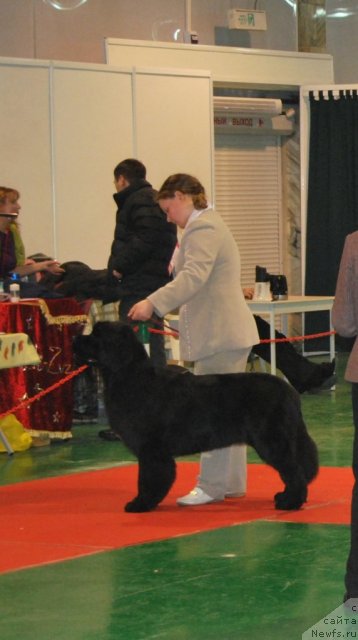 Фотография № 54507