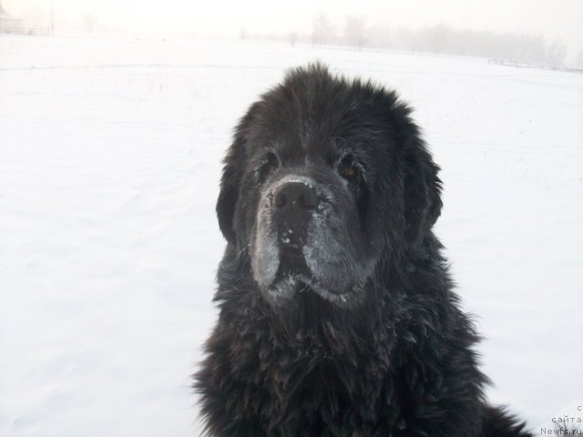 Фотография № 54547