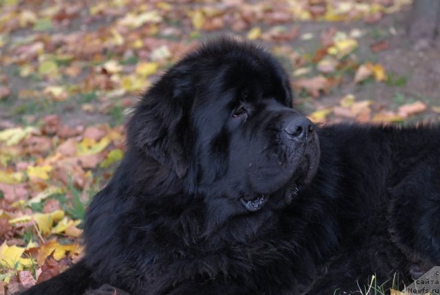 Фотография № 54607